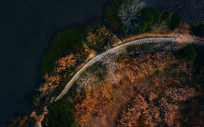 江汉大学三角湖绿道一景